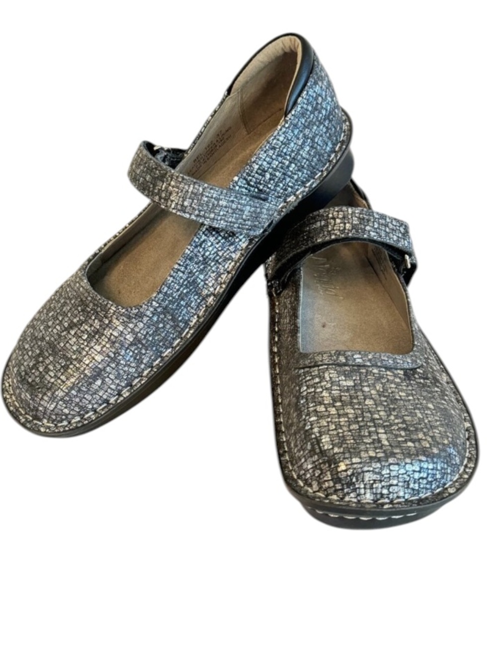 Alegria Belle in Silver Slate